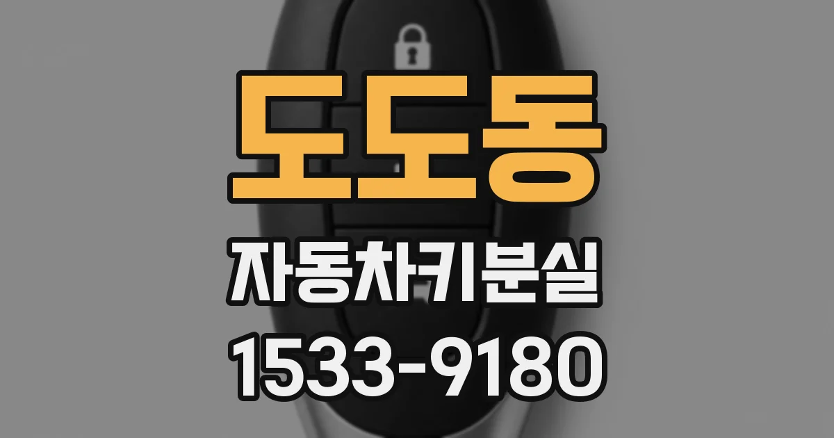 도도동 자동차키분실