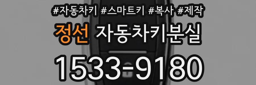 정선 자동차키분실