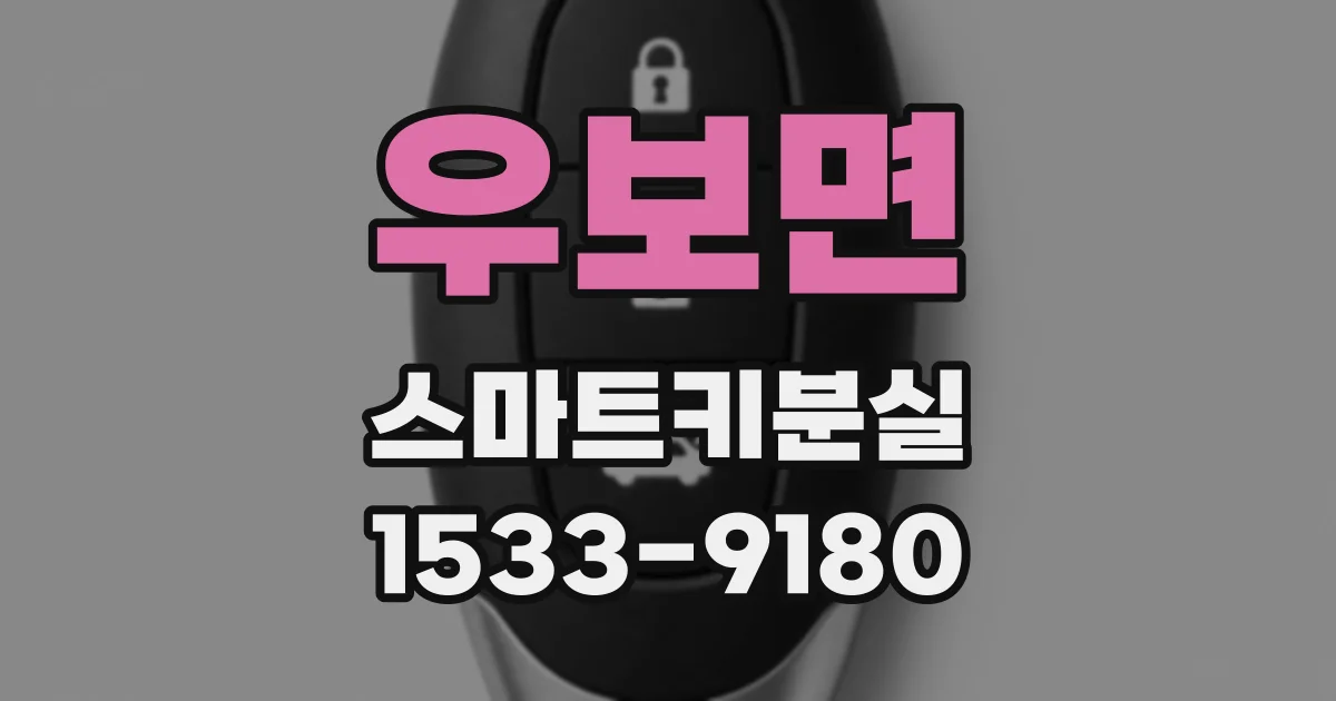 우보면 스마트키분실