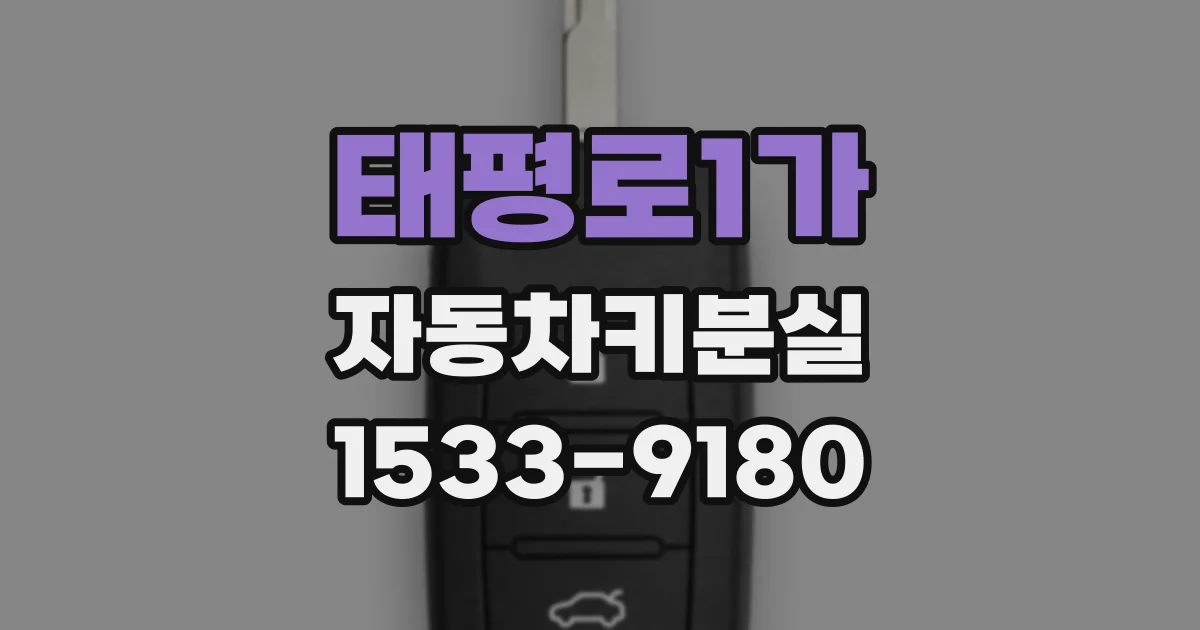 태평로1가 자동차키분실