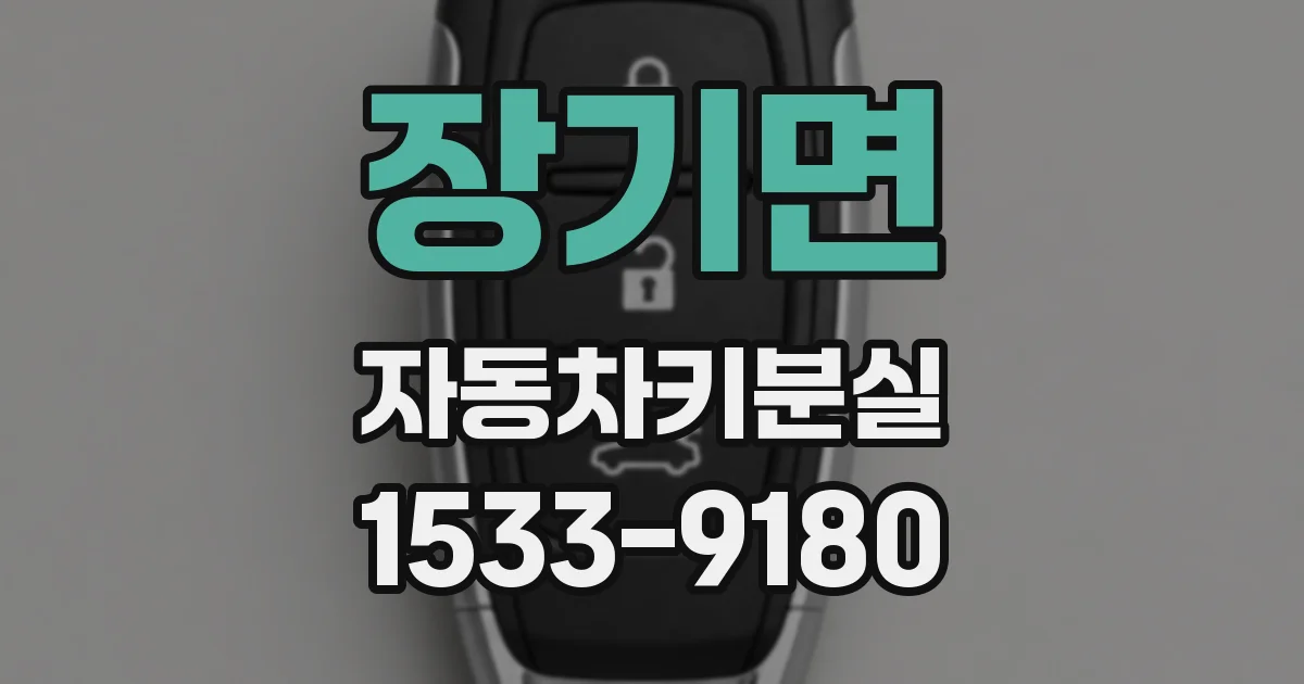 장기면 자동차키분실