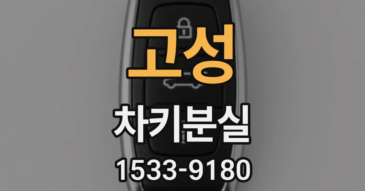 고성 차키분실