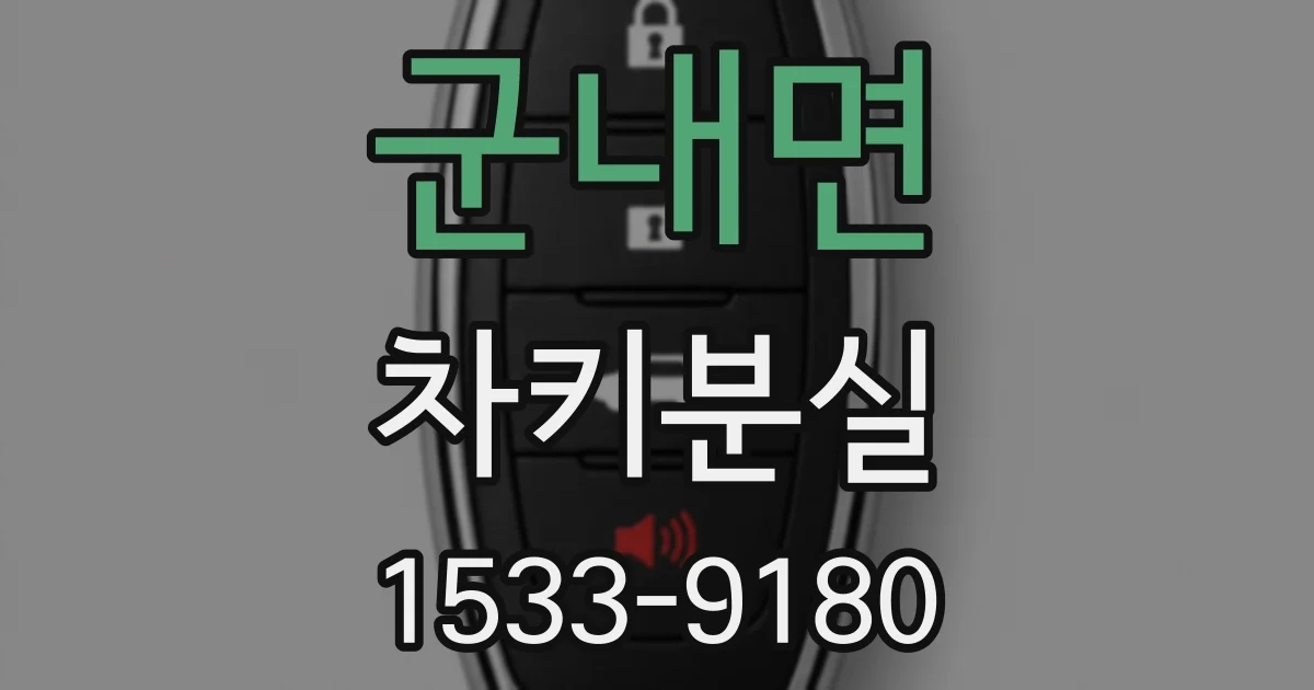 군내면 차키분실