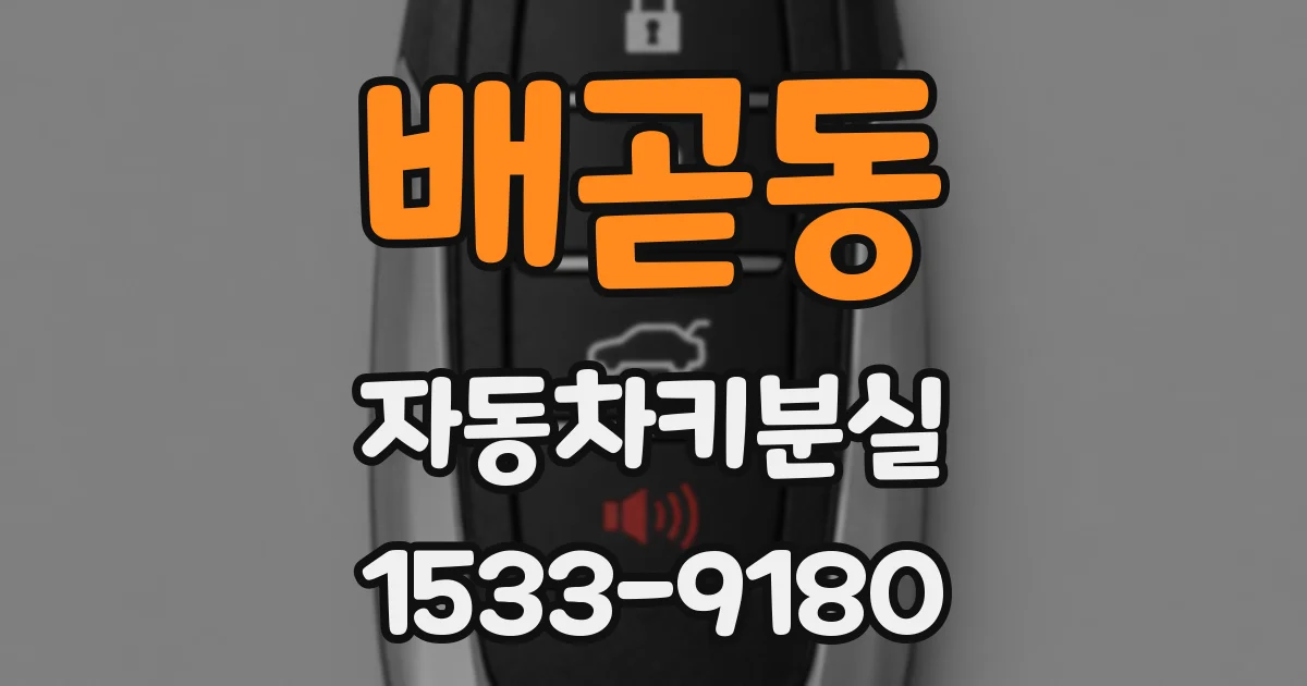 배곧동 자동차키분실