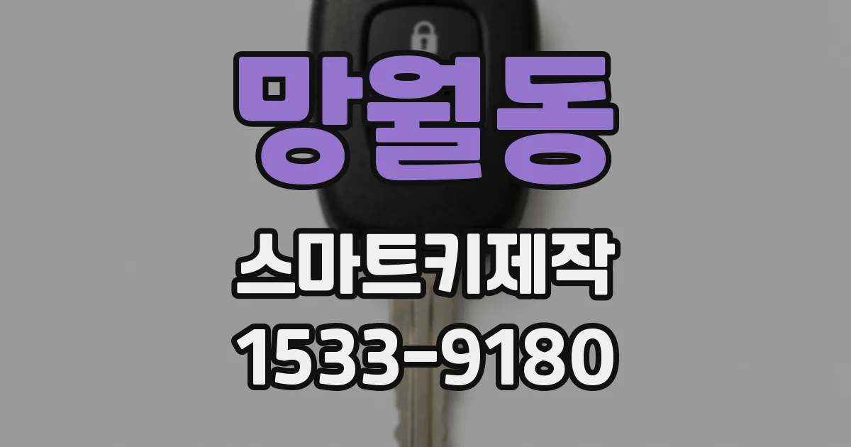 망월동 스마트키제작