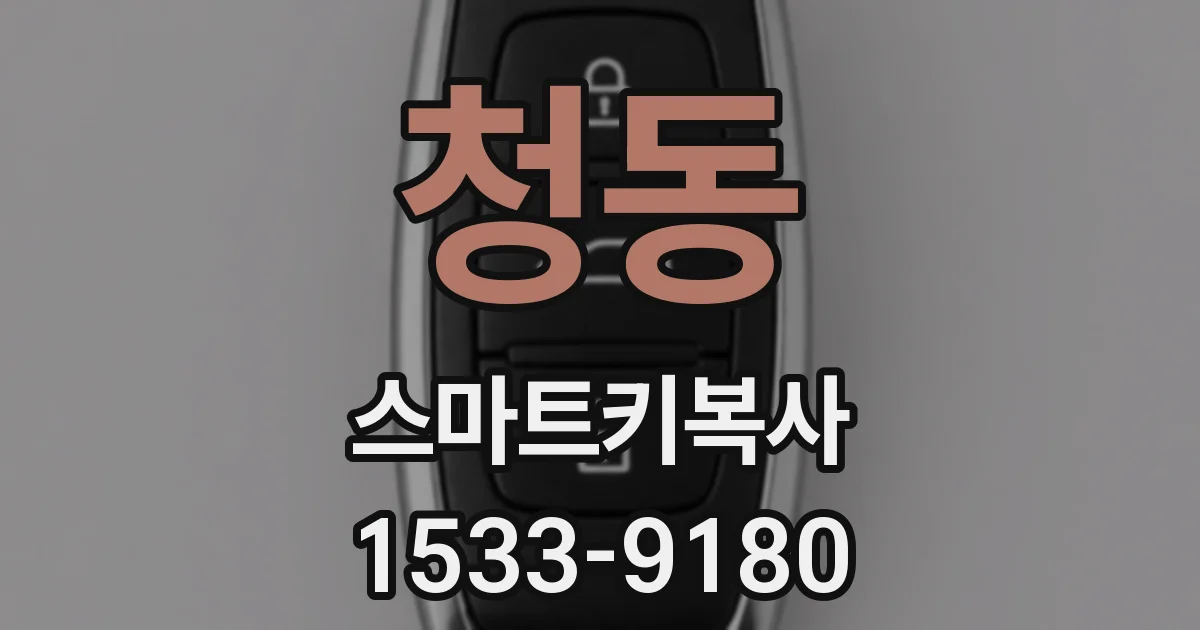 청동 스마트키복사