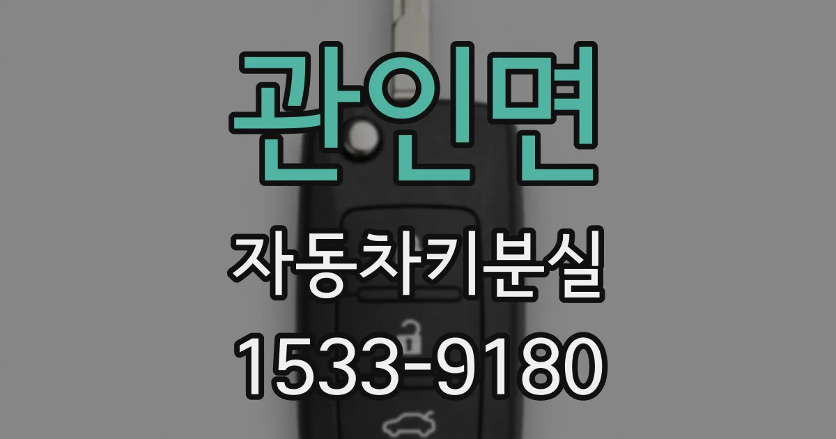 관인면 자동차키분실