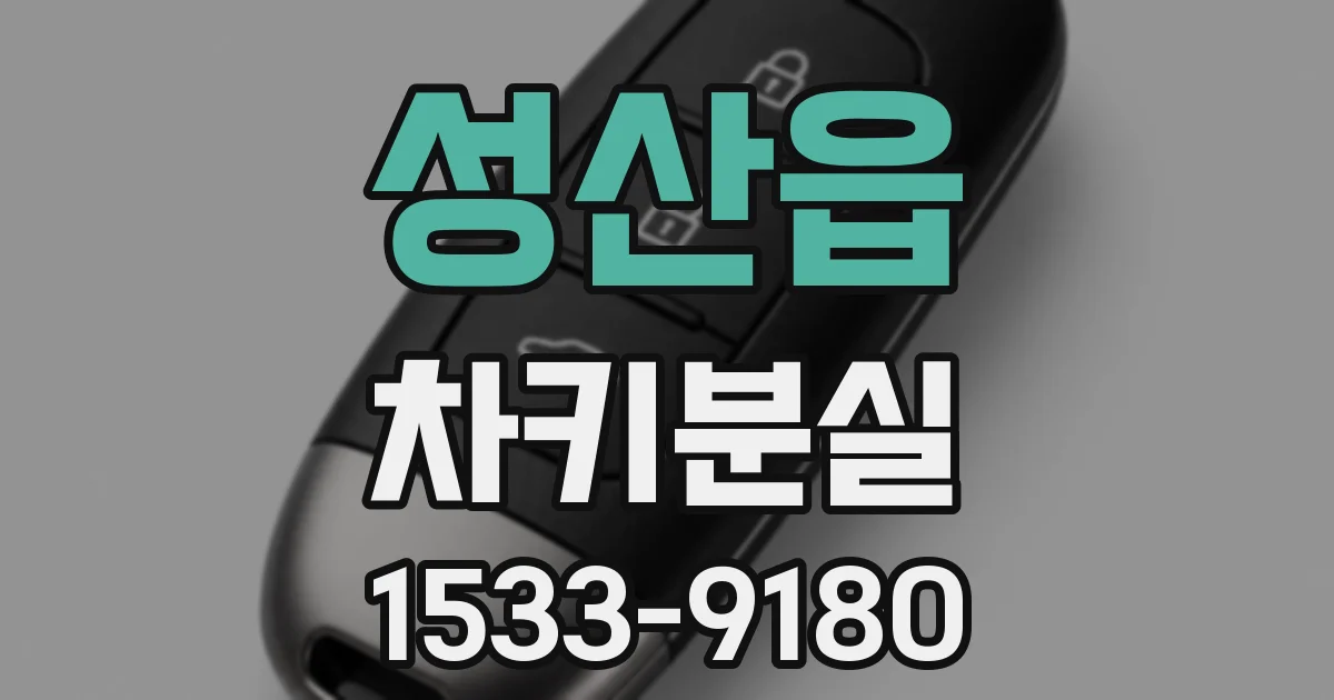성산읍 차키분실