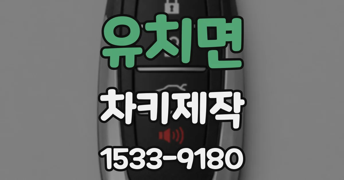 유치면 차키제작