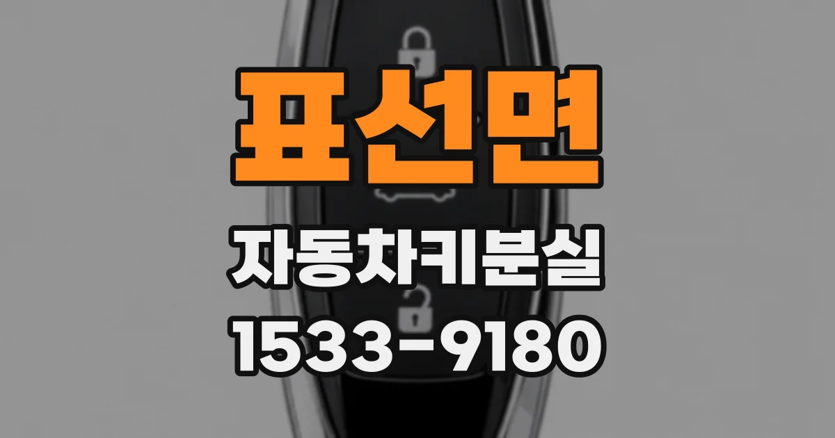 표선면 자동차키분실