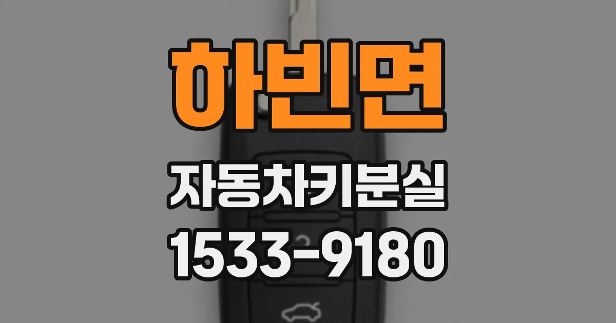 하빈면 자동차키분실