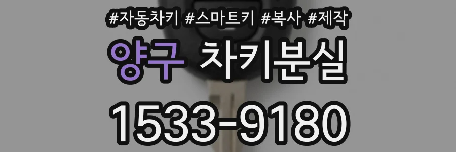양구 차키분실