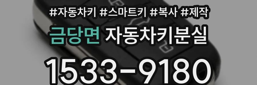 금당면 자동차키분실