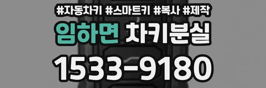 임하면 차키분실