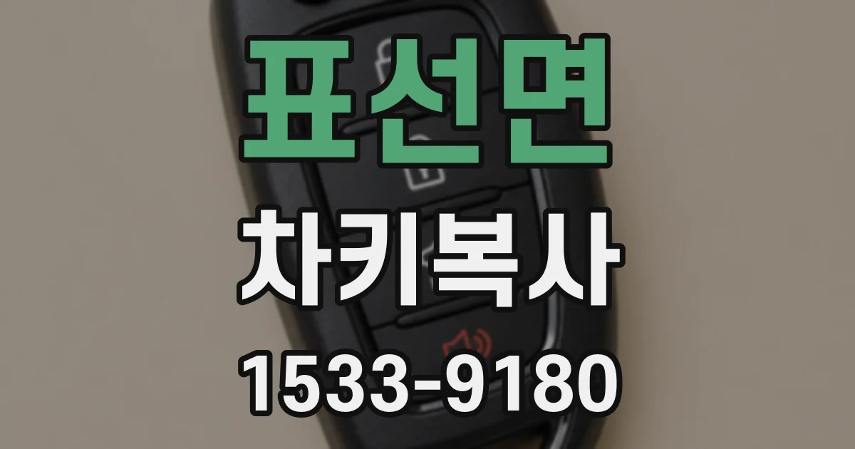 표선면 차키복사