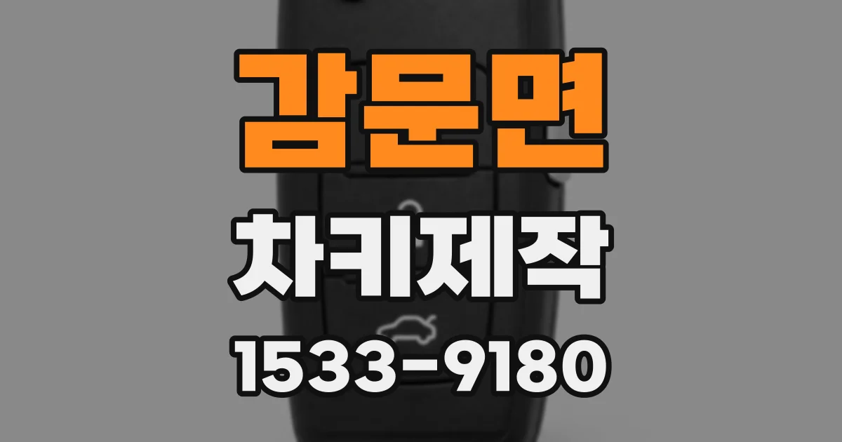감문면 차키제작