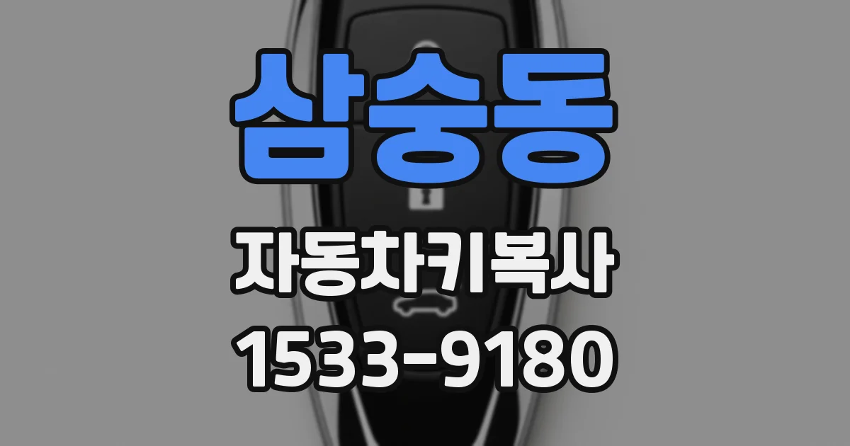 삼숭동 자동차키복사