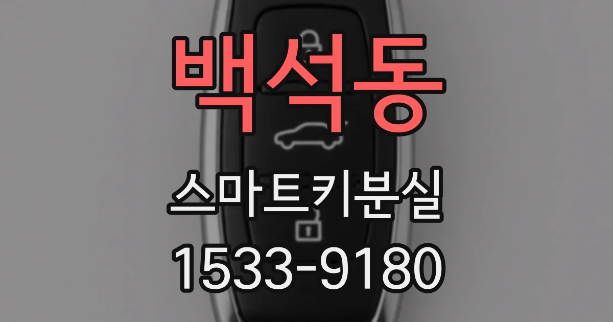 백석동 스마트키분실