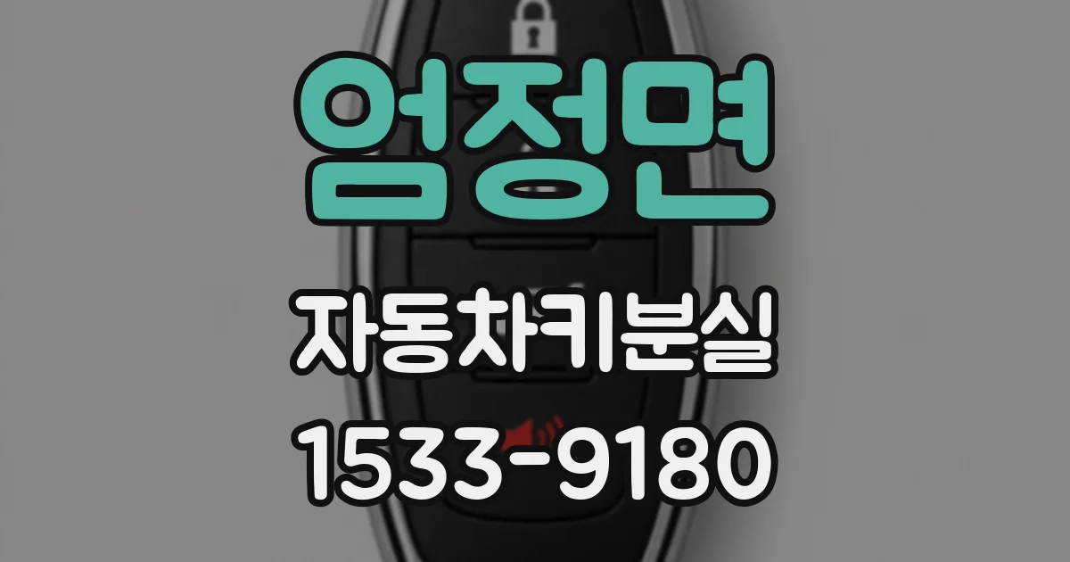 엄정면 자동차키분실