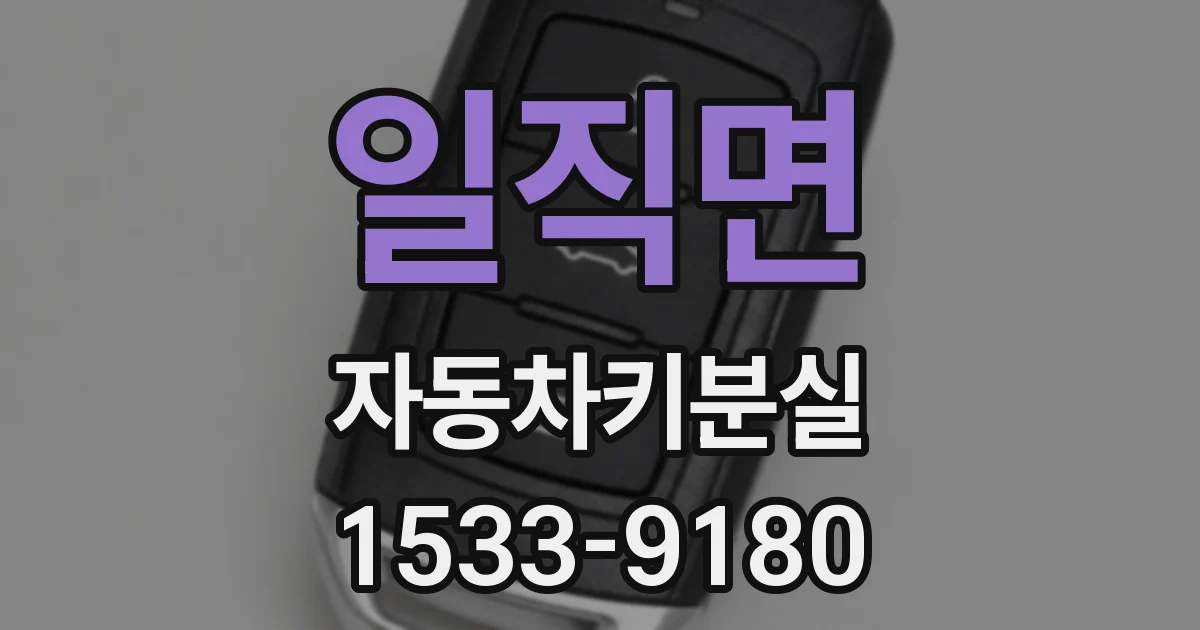 일직면 자동차키분실