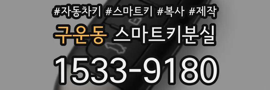 구운동 스마트키분실