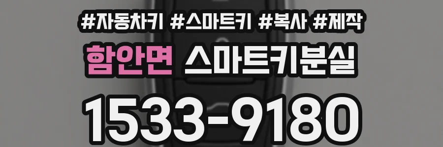 함안면 스마트키분실
