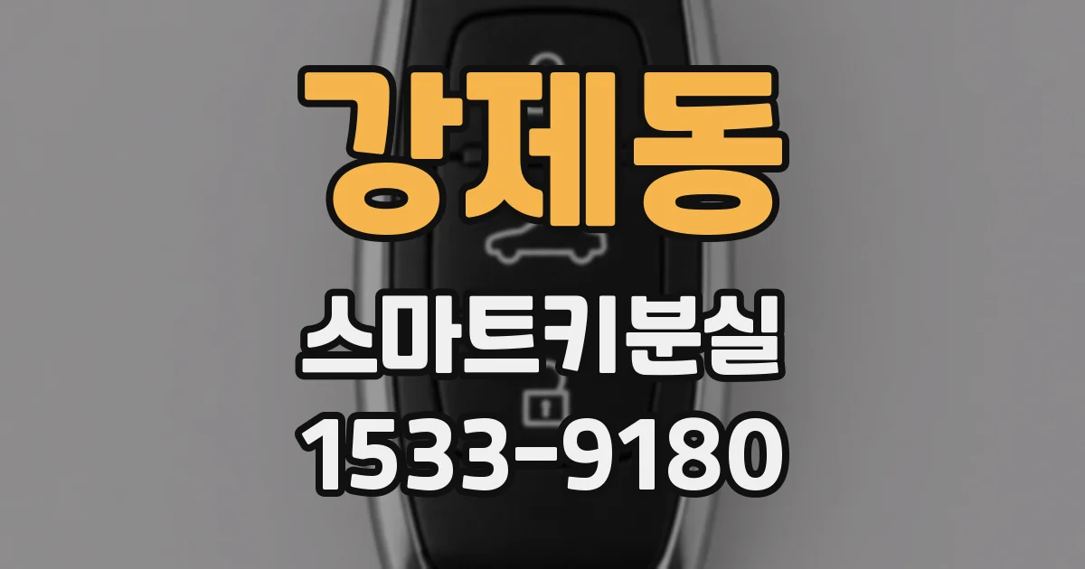 강제동 스마트키분실