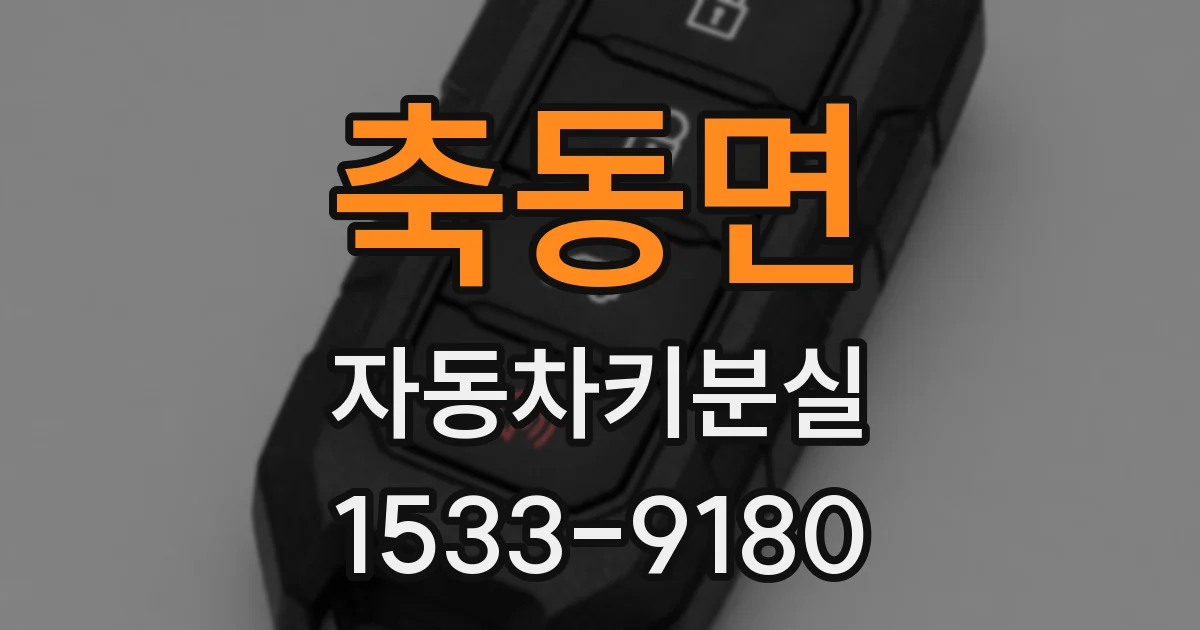 축동면 자동차키분실