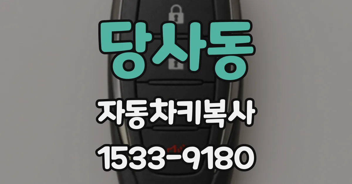 당사동 자동차키복사