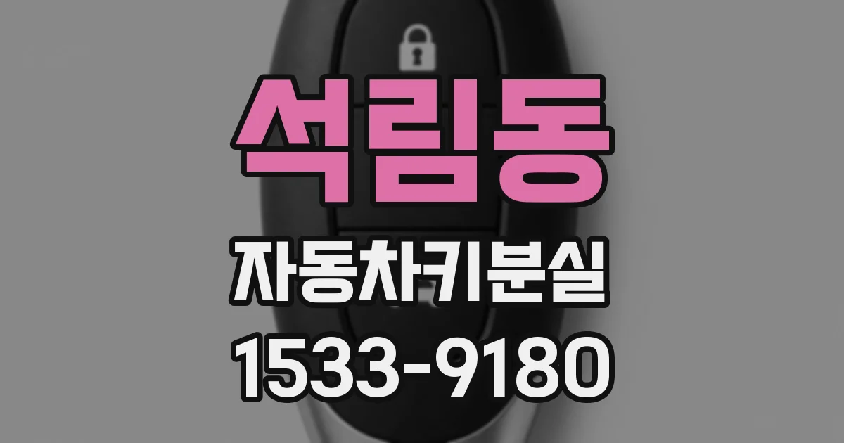 석림동 자동차키분실