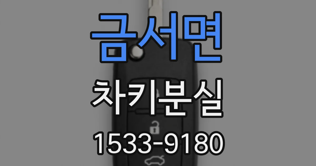 금서면 차키분실