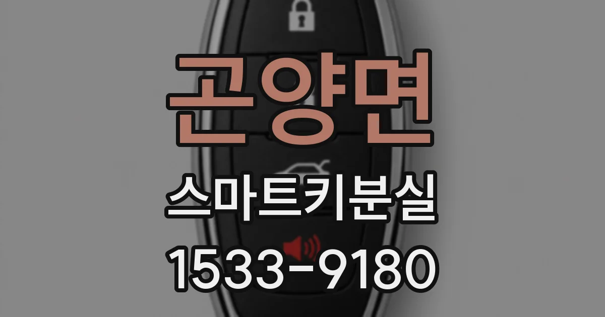 곤양면 스마트키분실