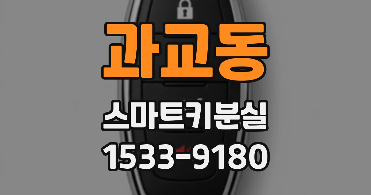 과교동 스마트키분실