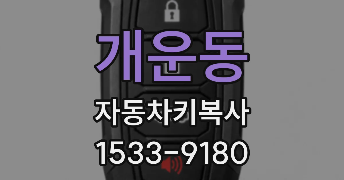 개운동 자동차키복사