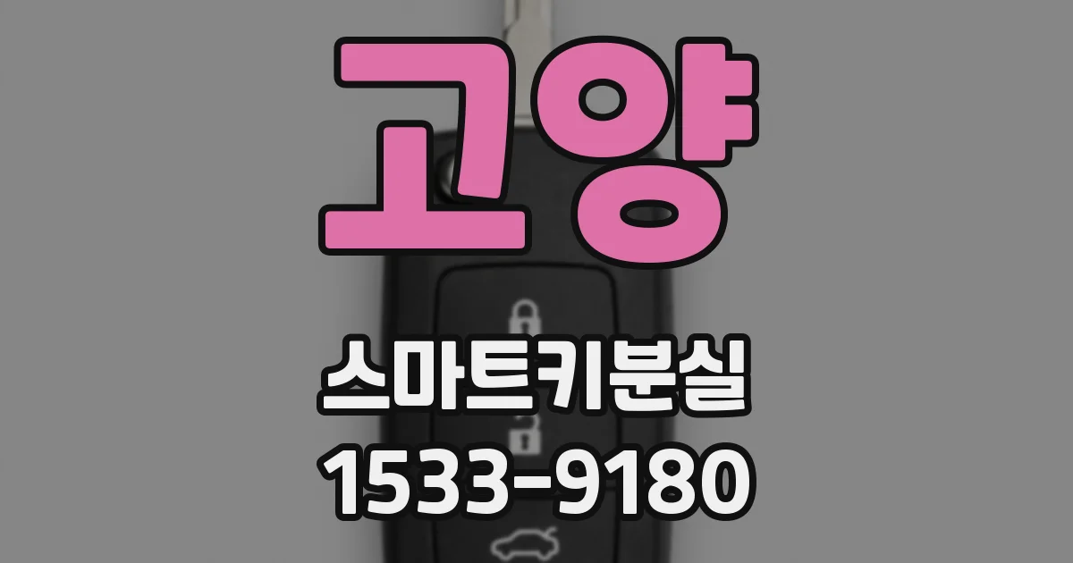 고양 스마트키분실