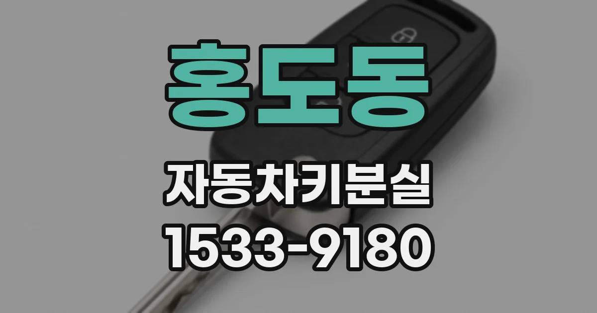 홍도동 자동차키분실
