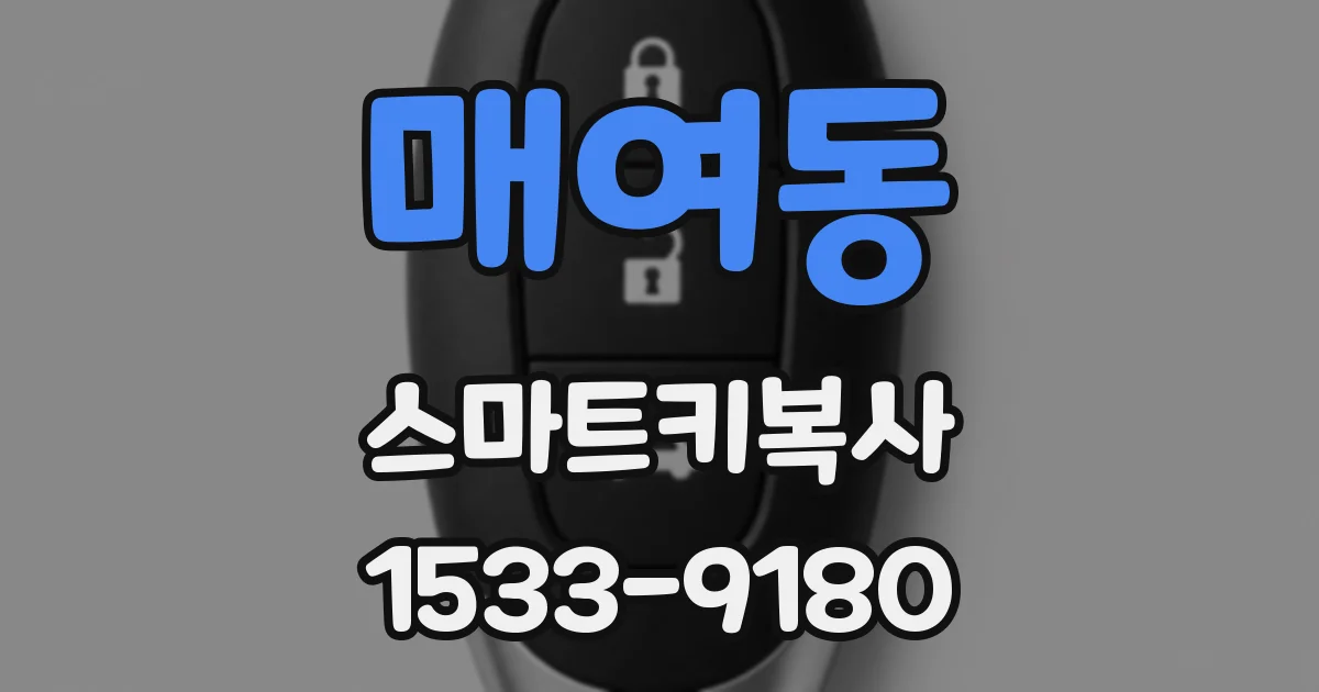 매여동 스마트키복사