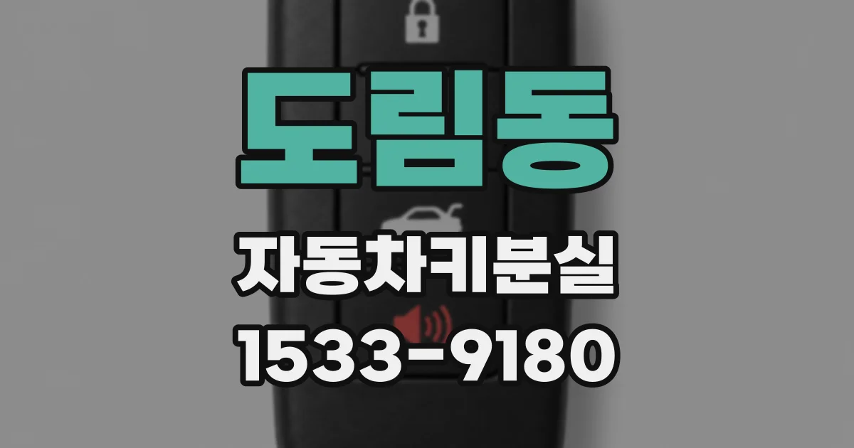 도림동 자동차키분실