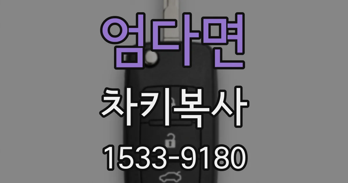 엄다면 차키복사