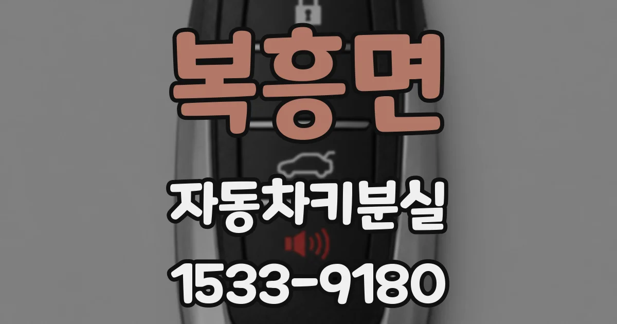 복흥면 자동차키분실