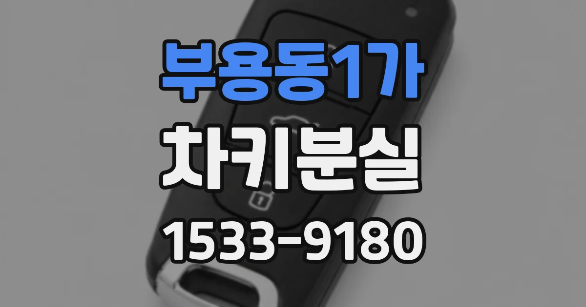 부용동1가 차키분실
