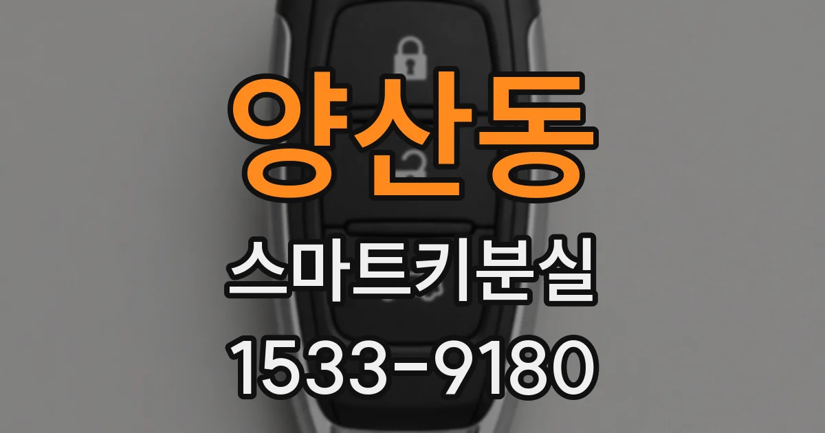 양산동 스마트키분실