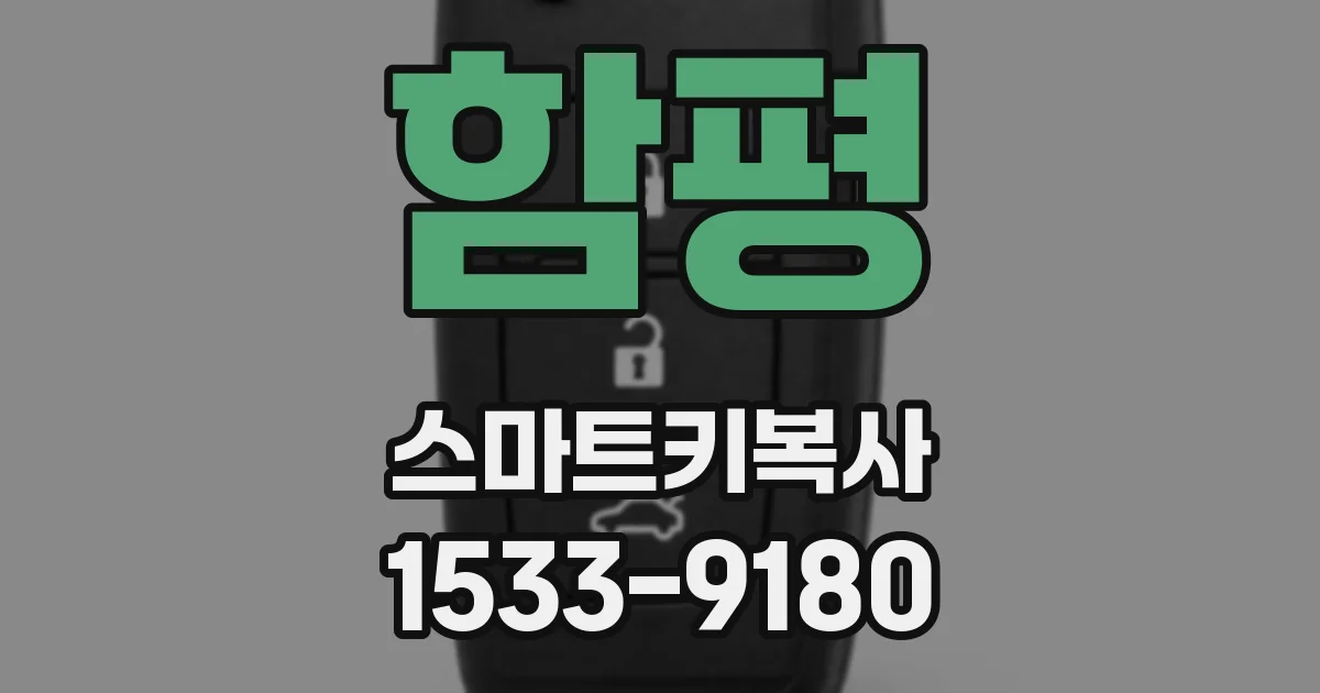 함평 스마트키복사