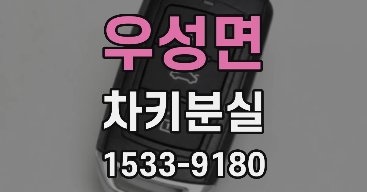 우성면 차키분실