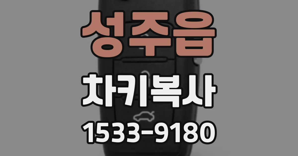 성주읍 차키복사