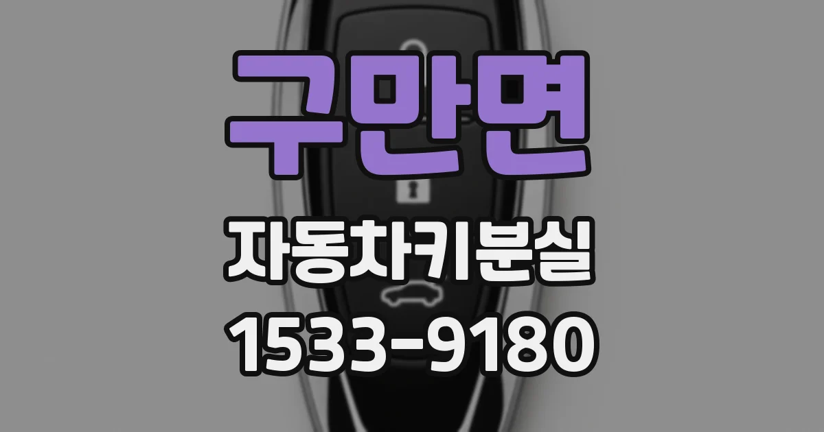 구만면 자동차키분실