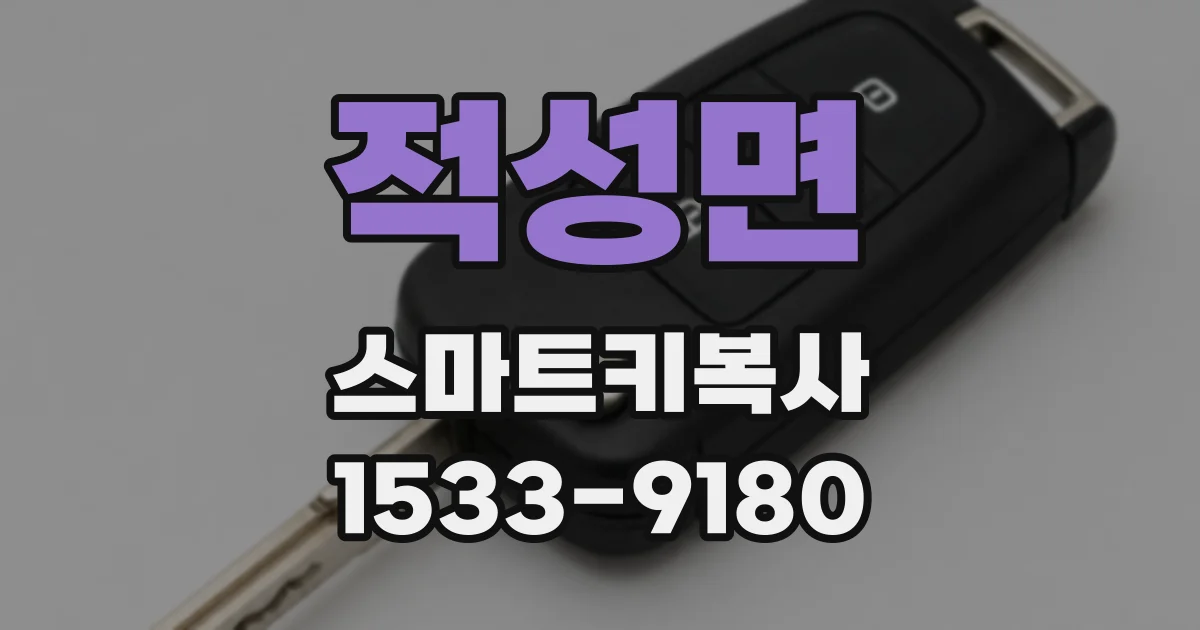 적성면 스마트키복사