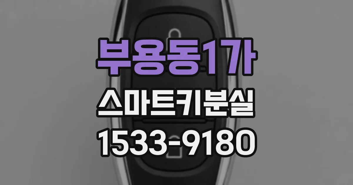 부용동1가 스마트키분실