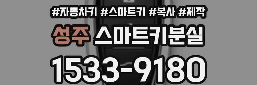 성주 스마트키분실