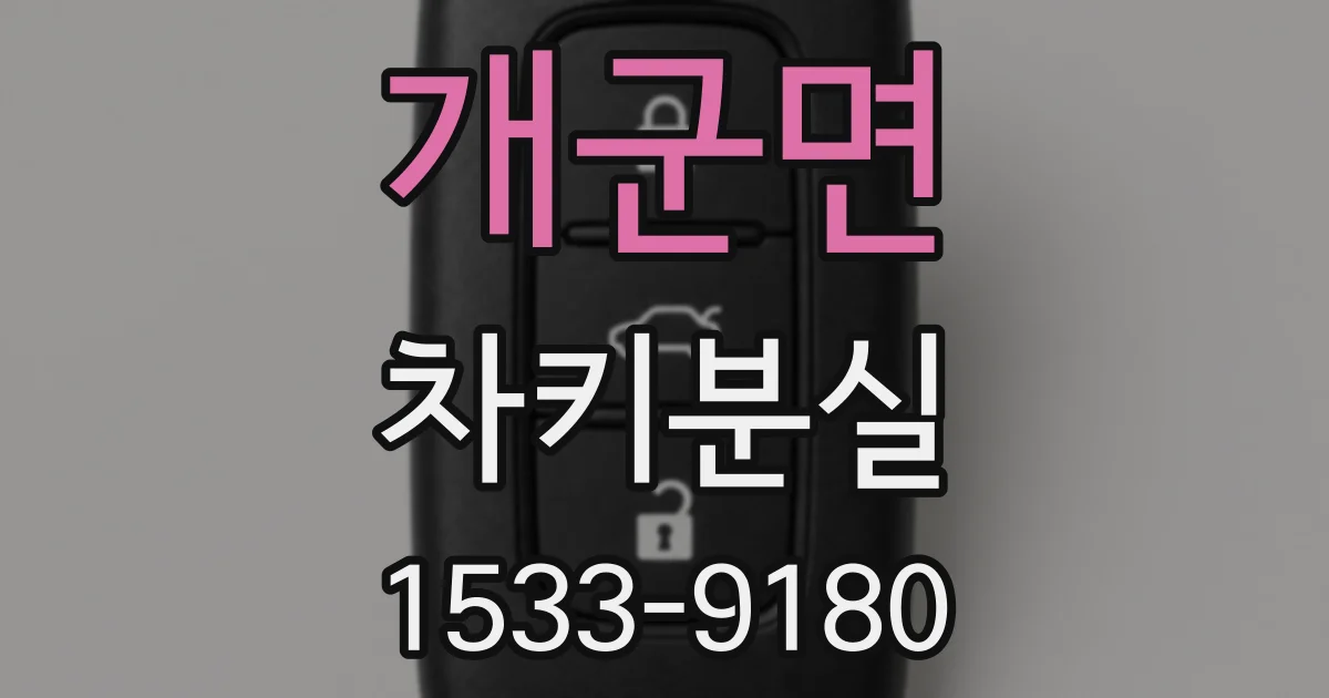 개군면 차키분실